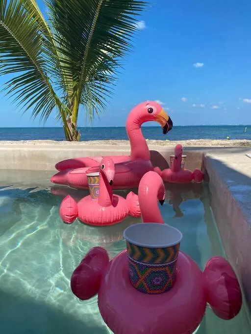 Beachfrontsven Svenjovic At Y Ahoo C Om Villa Cancun